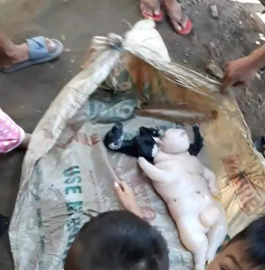 少女肚子異常凸起!家人相信「與魚亂搞」懷孕?