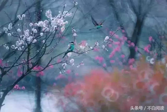 做好了這十件事,福報自然就來了