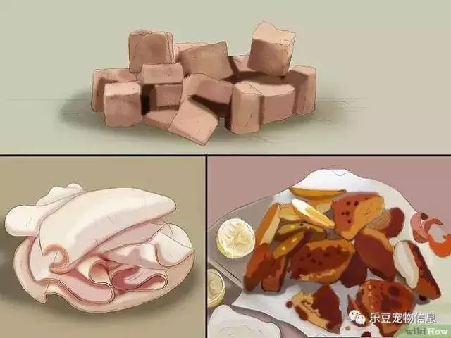 訓練狗狗的十三種常用教程全收錄,你一定用的著