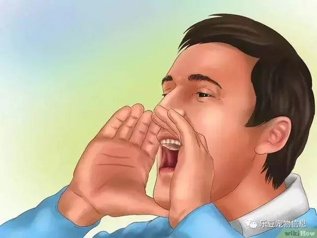 訓練狗狗的十三種常用教程全收錄,你一定用的著