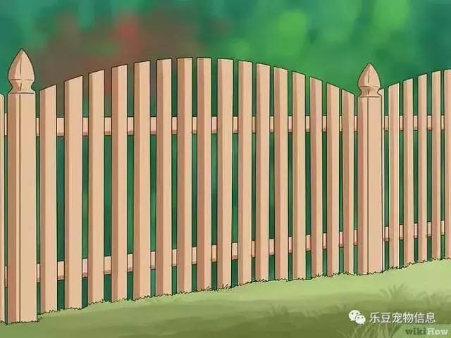 訓練狗狗的十三種常用教程全收錄,你一定用的著