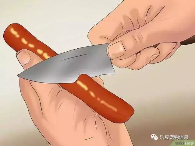訓練狗狗的十三種常用教程全收錄,你一定用的著