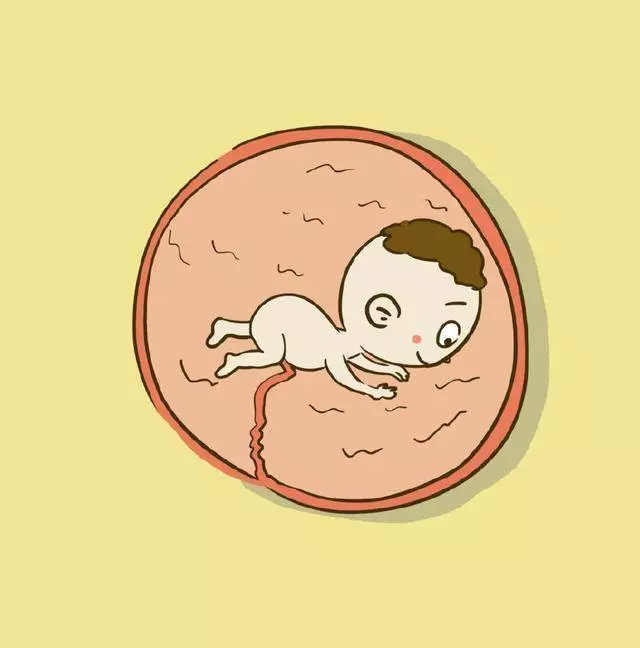胎兒是喝尿長大的?這些懷孕冷知識你知道多少_