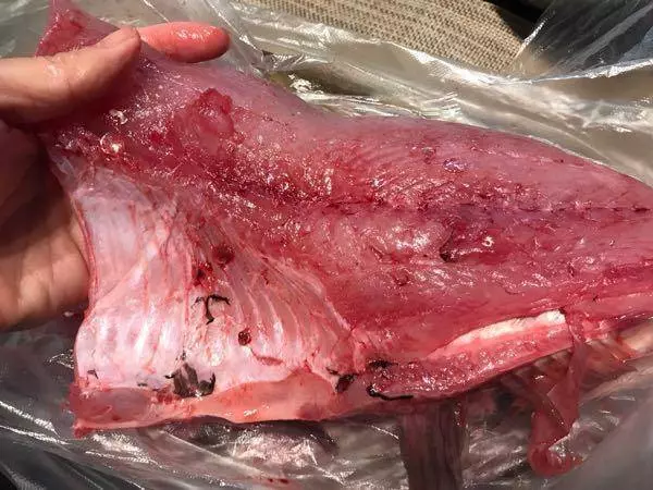 叔叔專做魚丸32年,教您做真正的魚丸,純魚肉製作不加粉,Q彈香嫩特別好吃!