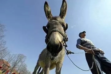 被人看不起的時候,記住三句話,不僅能贏得尊重還能助你走出困境!