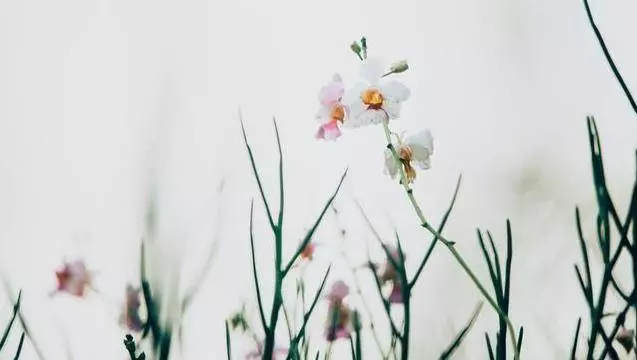 被人看不起的時候,記住三句話,不僅能贏得尊重還能助你走出困境!