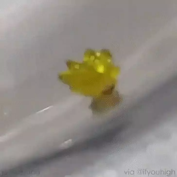 可惡想吃!26種「成功偽裝成食物」的不能吃物品,#5看到都要流口水了啦XDD