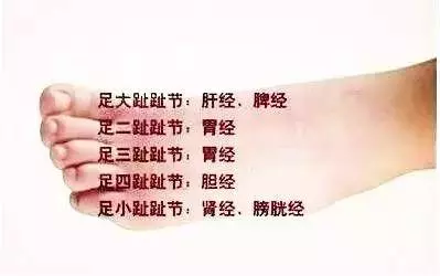 足背拉一拉,活到98!老中醫絕學,比按摩還有效!