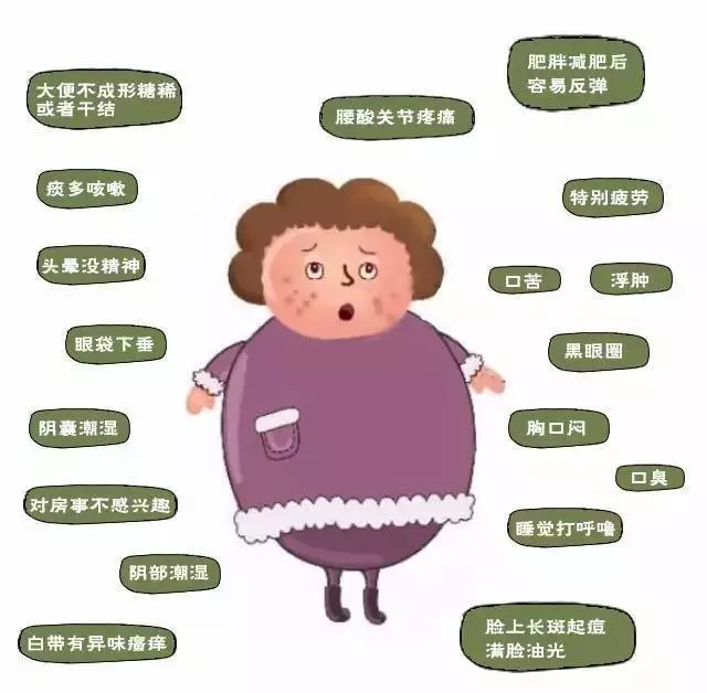 肚子大,濕氣重,教你3招祛濕減肥