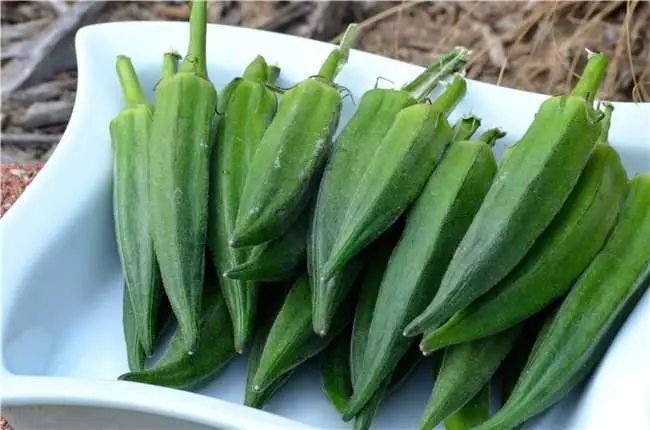 原來「秋葵」有這麼多好處!教你一個源於印度能有效降血糖的秘方!