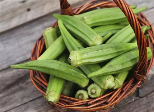 原來「秋葵」有這麼多好處!教你一個源於印度能有效降血糖的秘方!