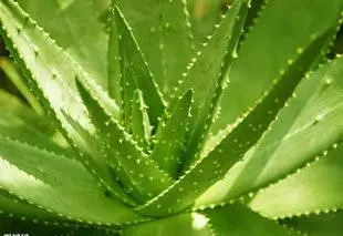女網友腹部變大,被認為是懷孕了,沒想到竟是血瘤!