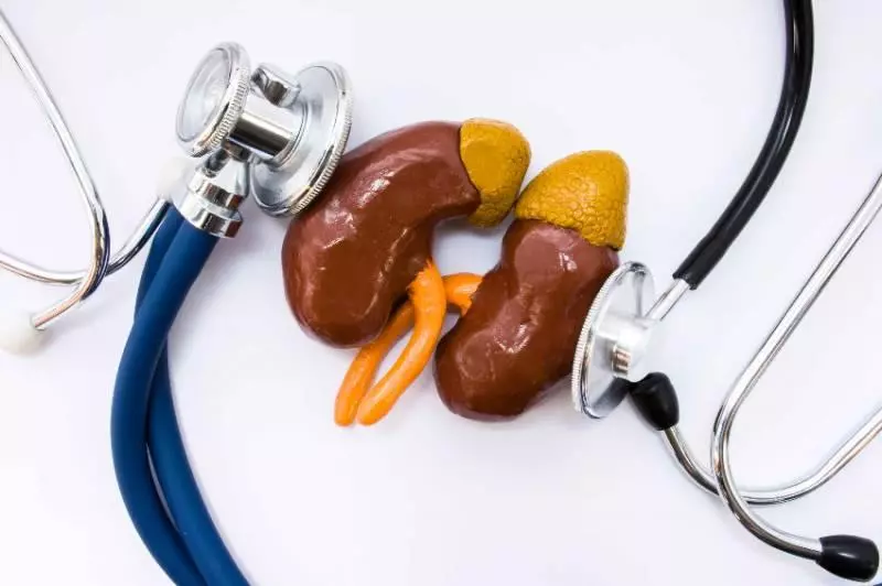 為何慢性腎病越來越多?3種食物,真的會引發尿毒症?
