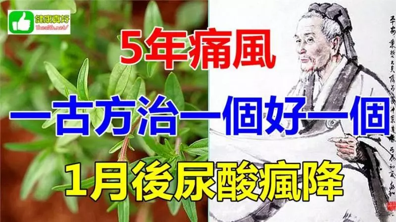 5 年痛風,張仲景一古方,治一個,好一個!
