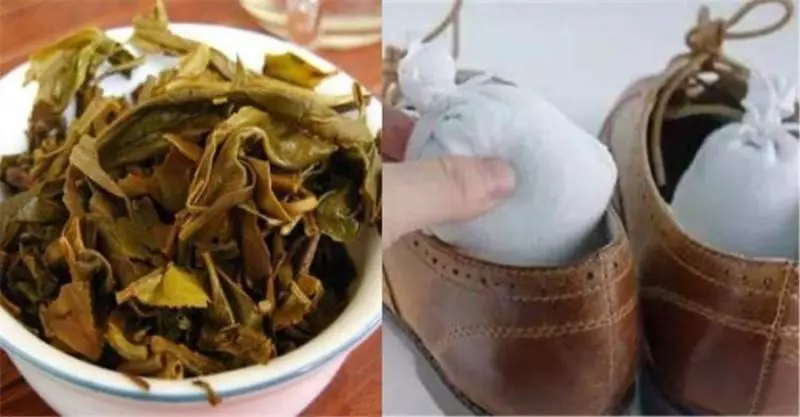 茶葉渣千萬別倒掉,這4個妙用,每個人都用得上!簡單實用又省錢!