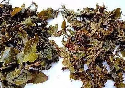 茶葉渣千萬別倒掉,這4個妙用,每個人都用得上!簡單實用又省錢!