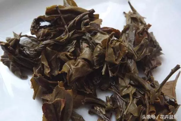 茶葉渣千萬別倒掉,這4個妙用,每個人都用得上!簡單實用又省錢!