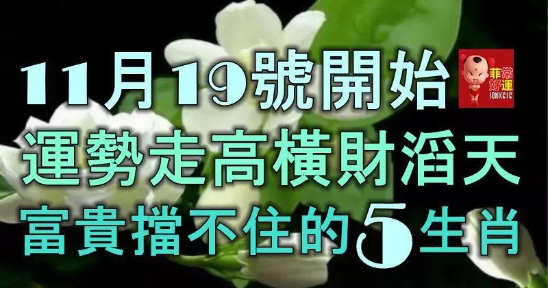 11月19號開始,運勢走高,橫財滔天,富貴擋不住的5大生肖!