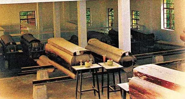 祖墳被插3根血釘,開棺驚見阿嬤已變「蔭屍」,全家厄運連連!
