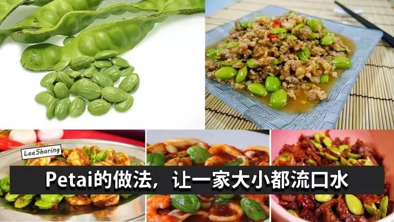 教你把Petai融入家常菜中,不只營養豐富,還超下飯的!忍不住多吃兩碗飯啦!!