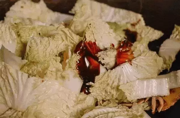 冬天多吃白菜,滋陰潤燥、護膚養顏!白菜 4 種特別做法,你一定沒吃過!