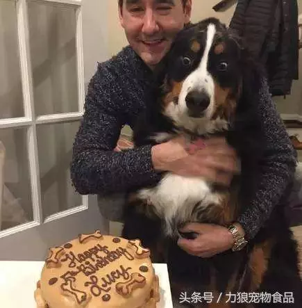 愛狗已經走火入魔的徵兆,符合三條以上,已無藥可救