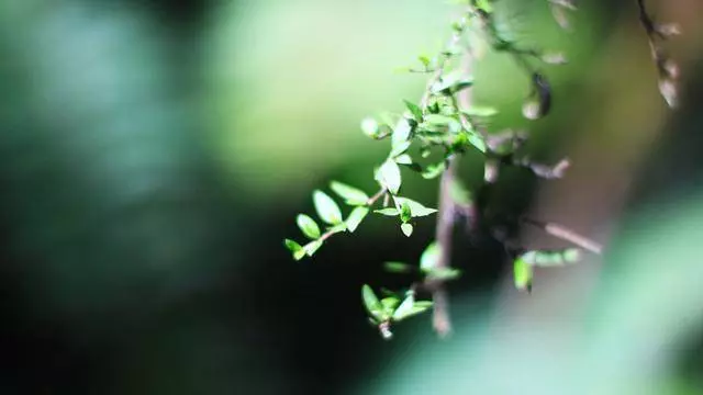心有多好,命就多好「句句在理」