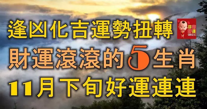 逢凶化吉,運勢扭轉,財運滾滾的5大生肖,11月下旬好運連連!