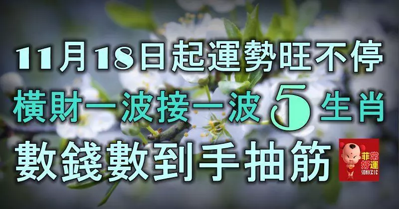 11月18日起運勢旺不停,橫財一波接一波的5生肖,數錢數到手抽筋!