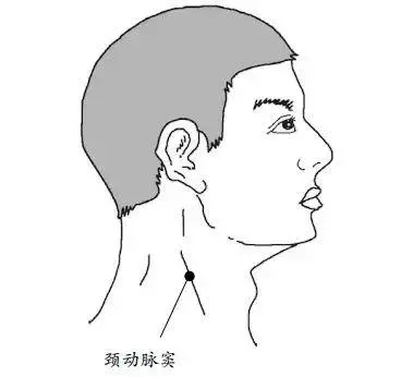 1處「奪命穴」,按錯要人命!5大「長壽穴」,常按不生病