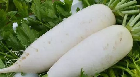 常吃這 8 種食物,能把肺部的毒素全部吸光,整個人年輕了很多!