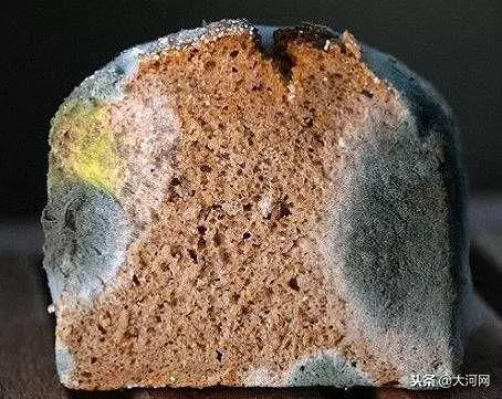 20個科室醫生最不想讓你做的事,現在知道也還不晚!