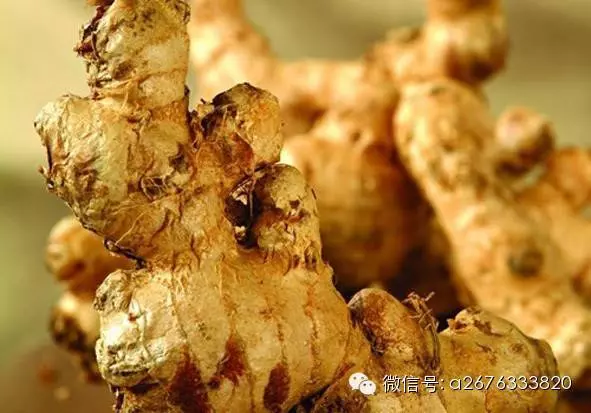 生雞肉買回來最好先這樣做,別直接馬上煮