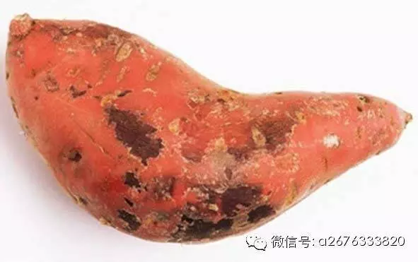 生雞肉買回來最好先這樣做,別直接馬上煮
