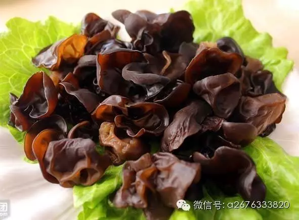 生雞肉買回來最好先這樣做,別直接馬上煮