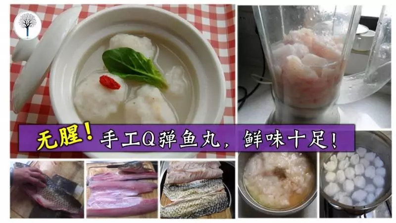 鮮味十足,毫無腥味,QQ彈彈的手工魚丸,非常好吃!!