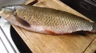 鮮味十足,毫無腥味,QQ彈彈的手工魚丸,非常好吃!!