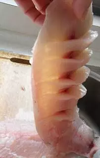 鮮味十足,毫無腥味,QQ彈彈的手工魚丸,非常好吃!!