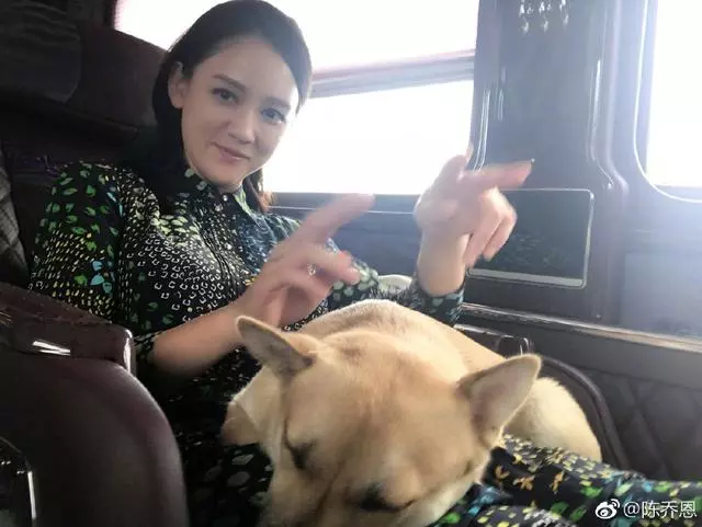 大爺帶中華田園犬辦證被拒,陳喬恩發文:感受的是靈魂而不是品種