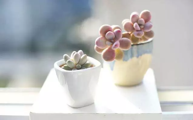 時間在變,人也在變,懂你的人,不必解釋!不懂你的人,不配你解釋