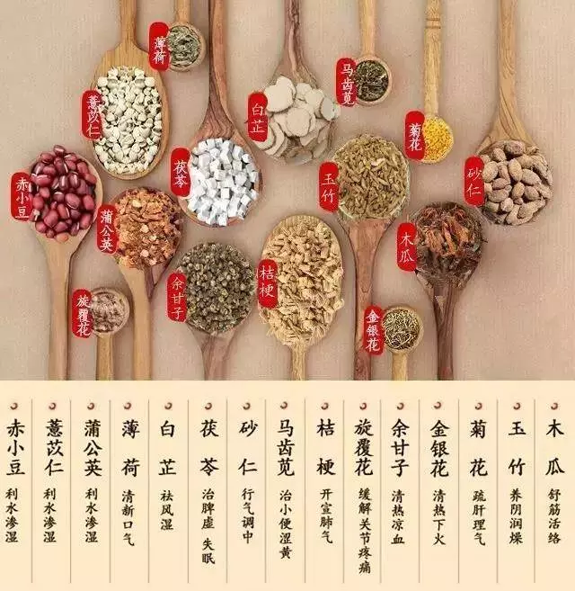 濕氣重!只要每天吃一物,輕鬆排出體內十年濕氣,健康又漂亮!