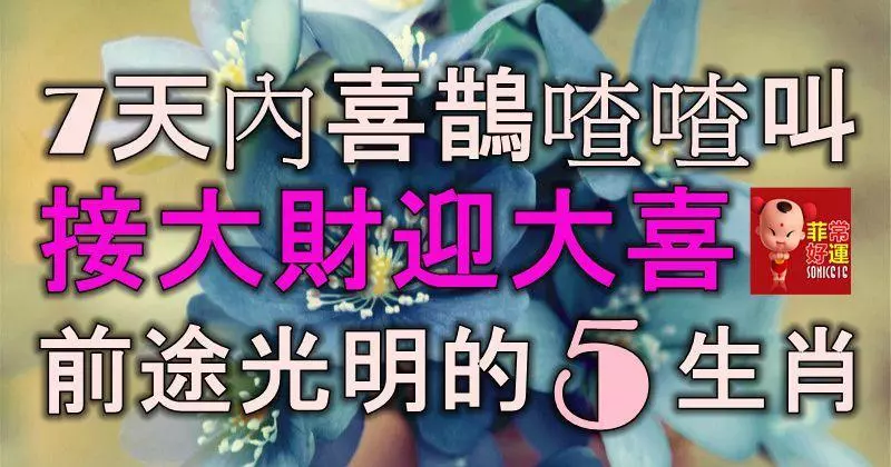 7天內喜鵲喳喳叫,接大財迎大喜,得貴人相助,前途光明的5大生肖!