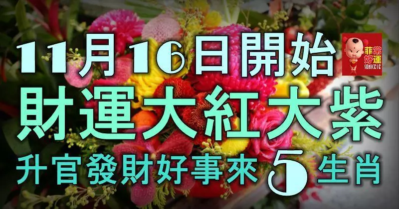 11月16日開始,財運大紅大紫,喜氣洋洋,升官發財好事來的5生肖!