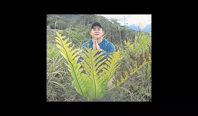 它能治風濕疼痛,腎虛腰痛,跌打損傷,小兒疳積 ~