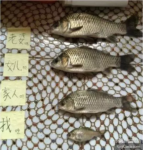 27張超級爆笑雷人妹子大圖集:妹子發現啥了,這樣看著我都臉紅了!最後一張笑到褲子都濕透了啦。