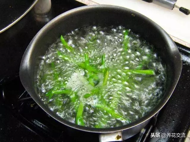 自製有機肥料的8種方法,用到的都是生活中的廢棄物
