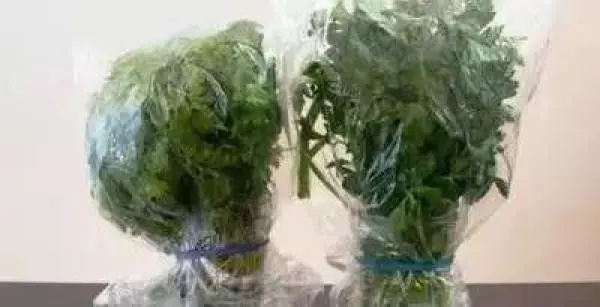 各種蔬果的保存方法,放久了也不易壞