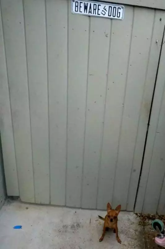 25張與實物不符的「內有惡犬」圖,有些怎麼混了怪怪的東西進去?