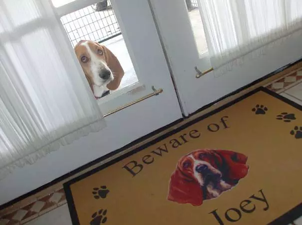 25張與實物不符的「內有惡犬」圖,有些怎麼混了怪怪的東西進去?