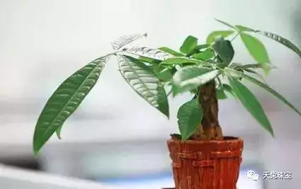 鞋子這樣放,你不漏財誰漏財?(風水禁忌之招財篇)